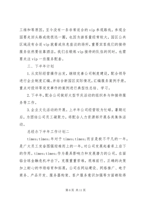 总经办下半年工作计划.docx