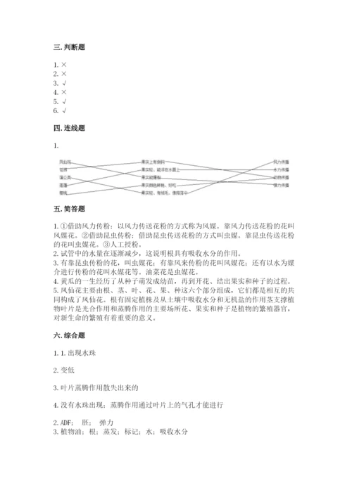 教科版四年级下册科学第一单元《植物的生长变化》测试卷含答案.docx