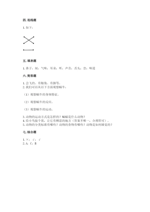 教科版小学科学一年级下册期末测试卷（网校专用）.docx