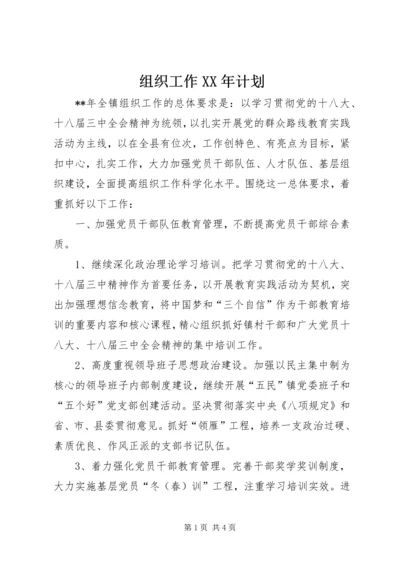 组织工作XX年计划 (2).docx