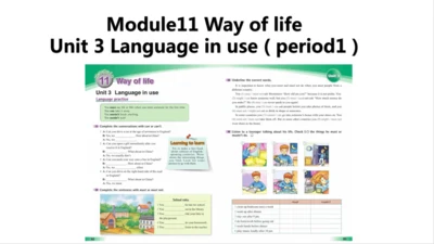 Unit 3 Language practice (1)-教学课件