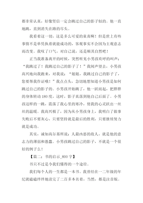 什么的启示作文800字.docx