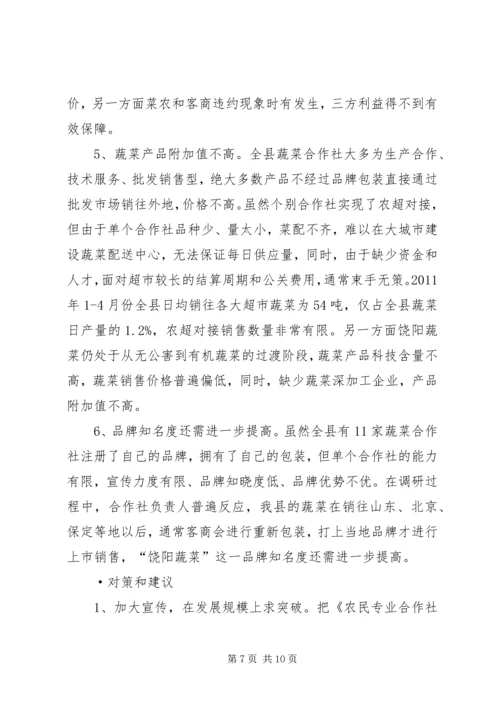 县蔬菜专业合作社调研报告.docx