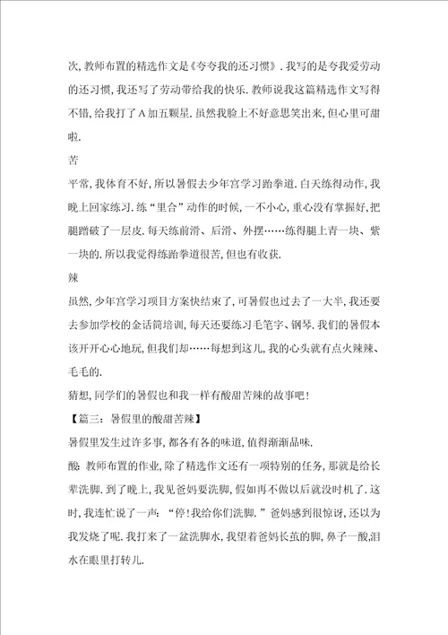 暑假里的酸甜苦辣精选作文