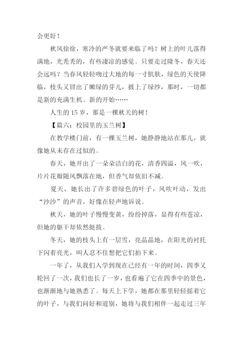 有关树的作文.docx