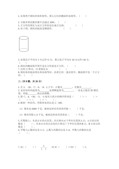 苏教版数学六年级下册试题期末模拟检测卷及参考答案（完整版）.docx