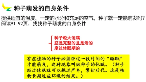 3.2.1 种子的萌发 2023-2024学年七年级生物上册精品教学课件（人教版）(共19张PPT)