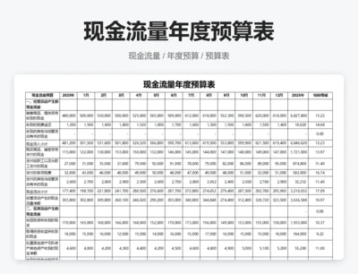 现金流量年度预算表