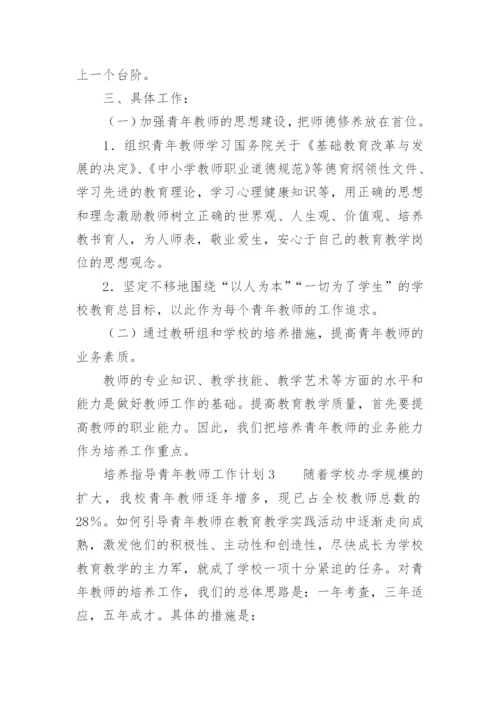培养、指导青年教师工作计划.docx