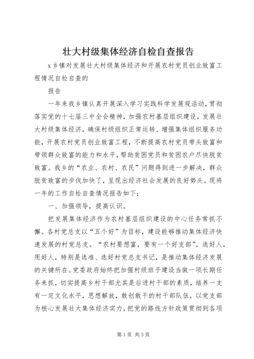 壮大村级集体经济自检自查报告 (2).docx