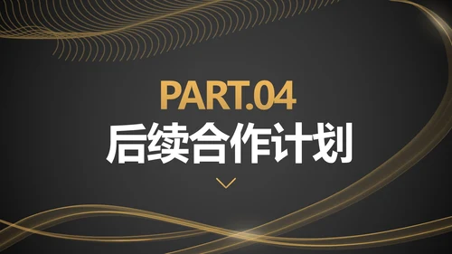 黑金工作项目总结汇报ppt模板