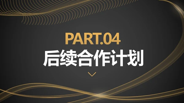 黑金工作项目总结汇报ppt模板