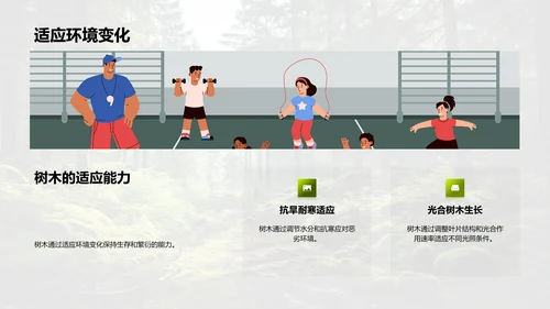 树木的生态密码