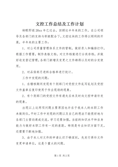 文控工作总结及工作计划.docx