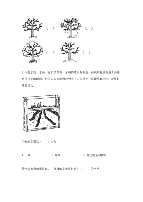 教科版二年级上册科学期末测试卷（名校卷）.docx