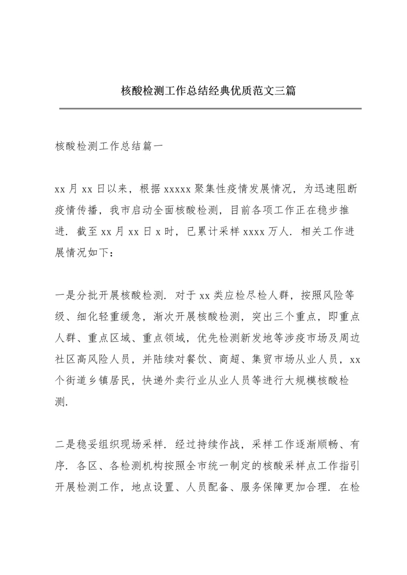 核酸检测工作总结经典优质范文三篇.docx