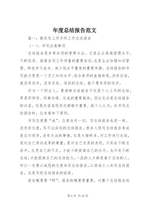年度总结报告范文.docx