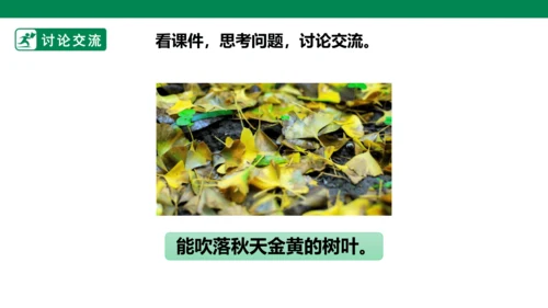 部编1A 第8单元 第11课 会写的字与单元阅读 课件