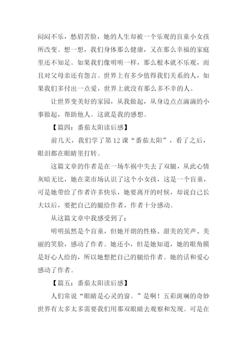 番茄太阳读后感.docx