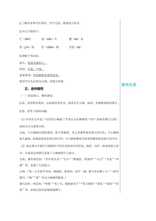 第五单元 19 一棵小桃树 教学详案