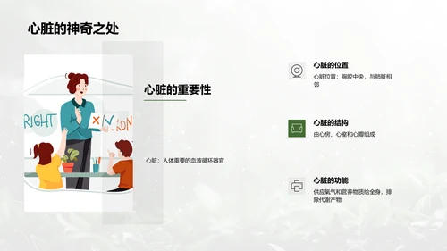 人体系统协作讲座PPT模板