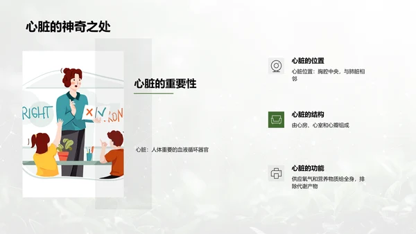 人体系统协作讲座PPT模板