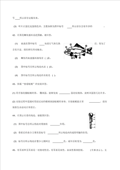 初中生物会考模拟试题