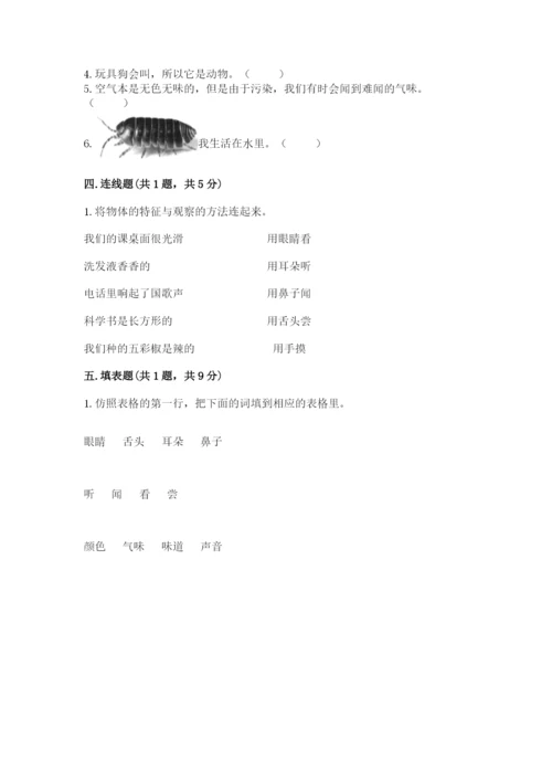 教科版一年级下册科学期末测试卷及参考答案（轻巧夺冠）.docx