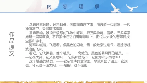 初中教师海天海燕教育教学课件PPT模板