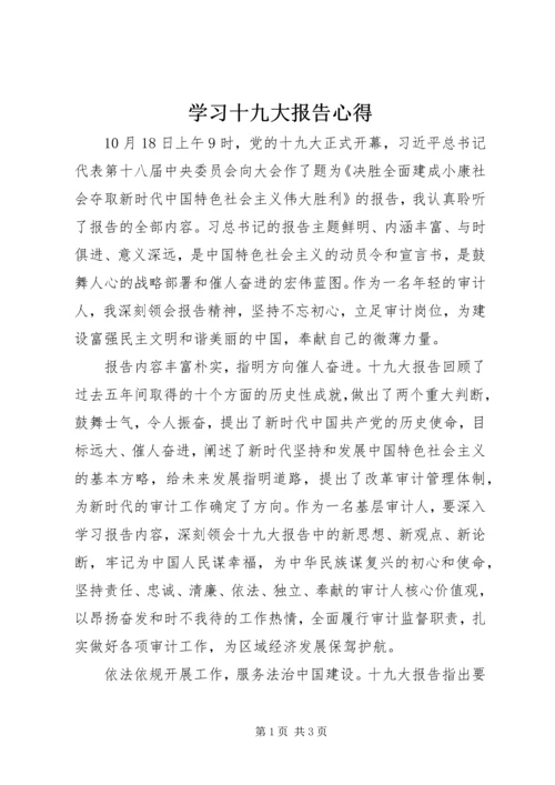 学习十九大报告心得.docx