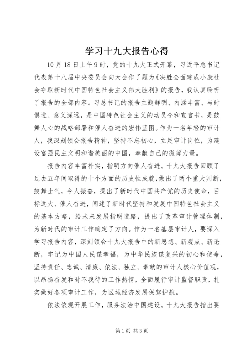 学习十九大报告心得.docx