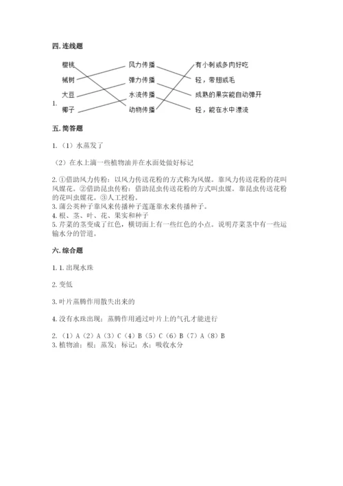 教科版科学四年级下册第一单元《植物的生长变化》测试卷【培优】.docx