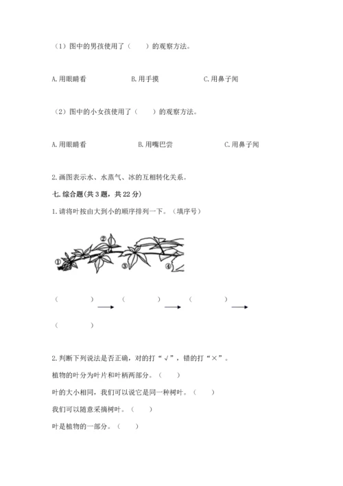 教科版科学一年级上册第一单元《植物》测试卷附完整答案【全优】.docx