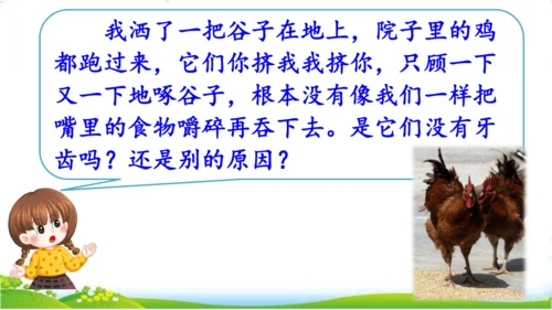 统编版语文三年级下册第四单元 《语文园地四》课件