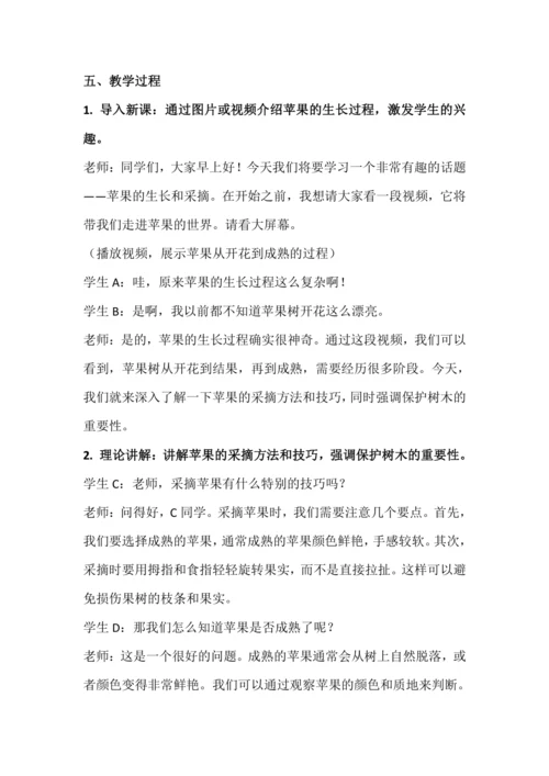 北师大版五上劳动与技术《9.体验采摘苹果》教学设计