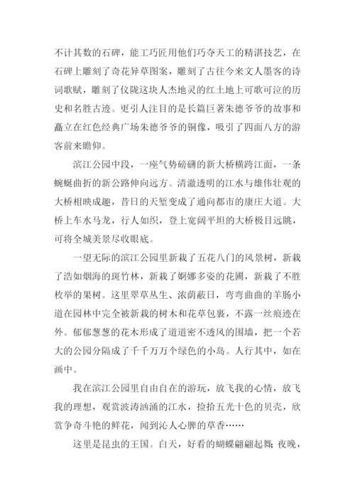 美丽的滨江公园作文.docx