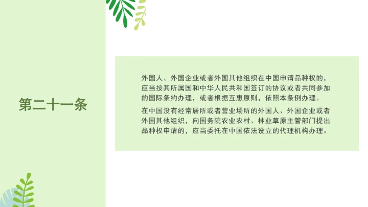 普法全文学习2025年4月新修订《中华人民共和国植物新品种保护条例》PPT课件