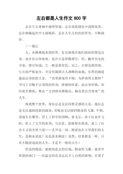 左右都是人生作文800字.docx