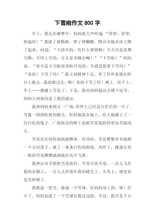 下雪啦作文800字.docx