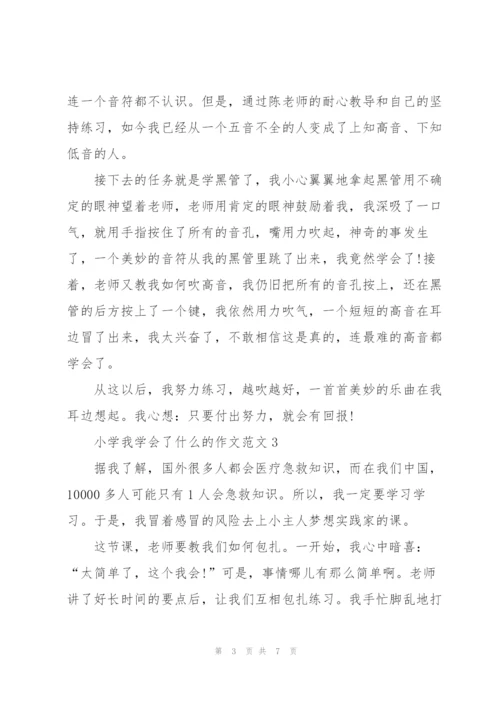 小学我学会了什么的作文范文5篇.docx