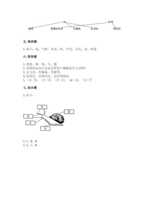 教科版一年级下册科学期末测试卷含答案【巩固】.docx