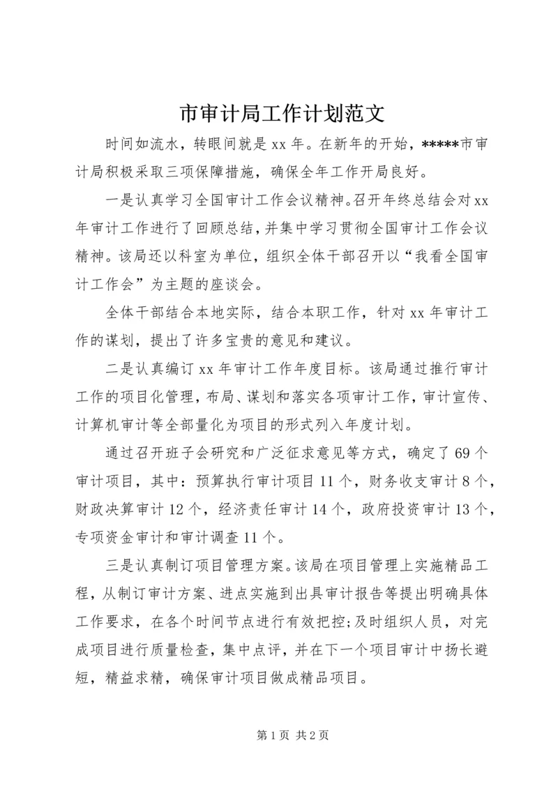 市审计局工作计划范文.docx