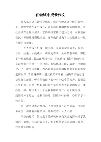 在尝试中成长作文-17.docx