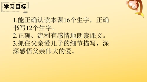 19 父爱之舟   课件