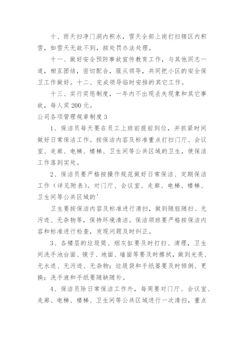 公司各项管理规章制度_1.docx