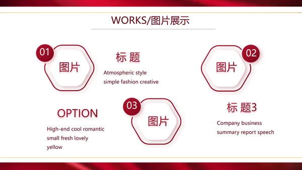 高端公司品牌产品介绍策划方案工作总结PPT