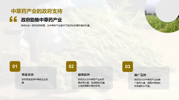 中草药产业的崭新征程