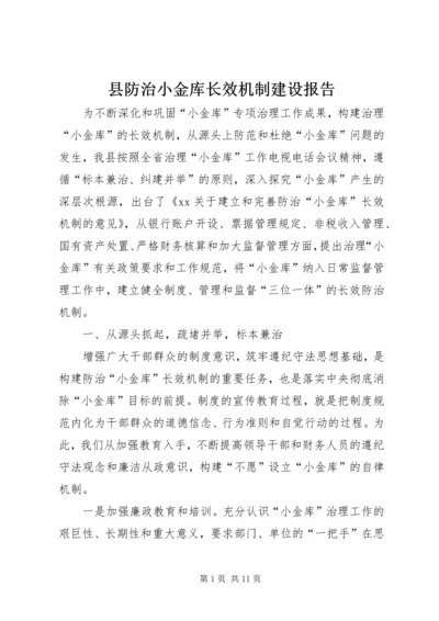 县防治小金库长效机制建设报告.docx