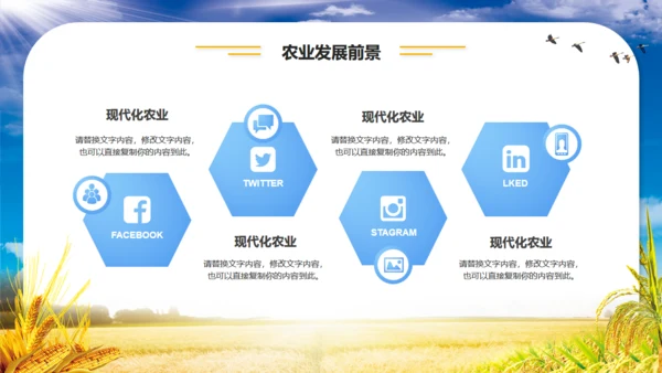 农业项目招商融资报告通用PPT模板