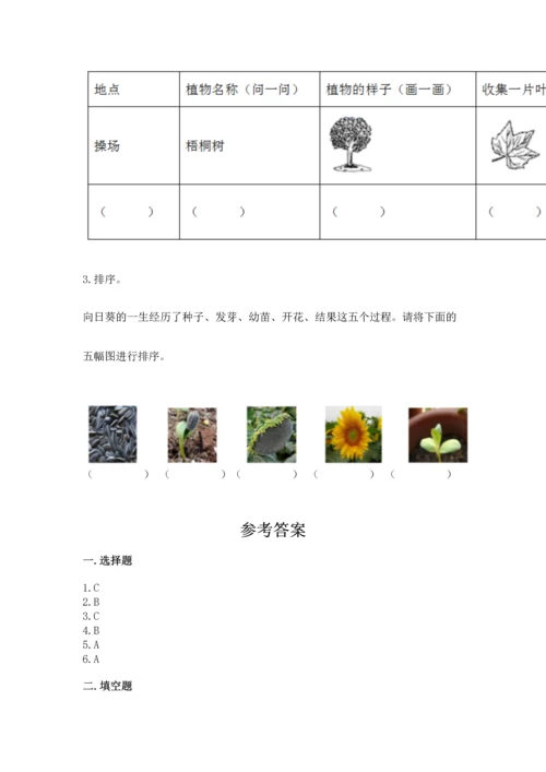 教科版科学一年级上册第一单元《植物》测试卷及一套参考答案.docx